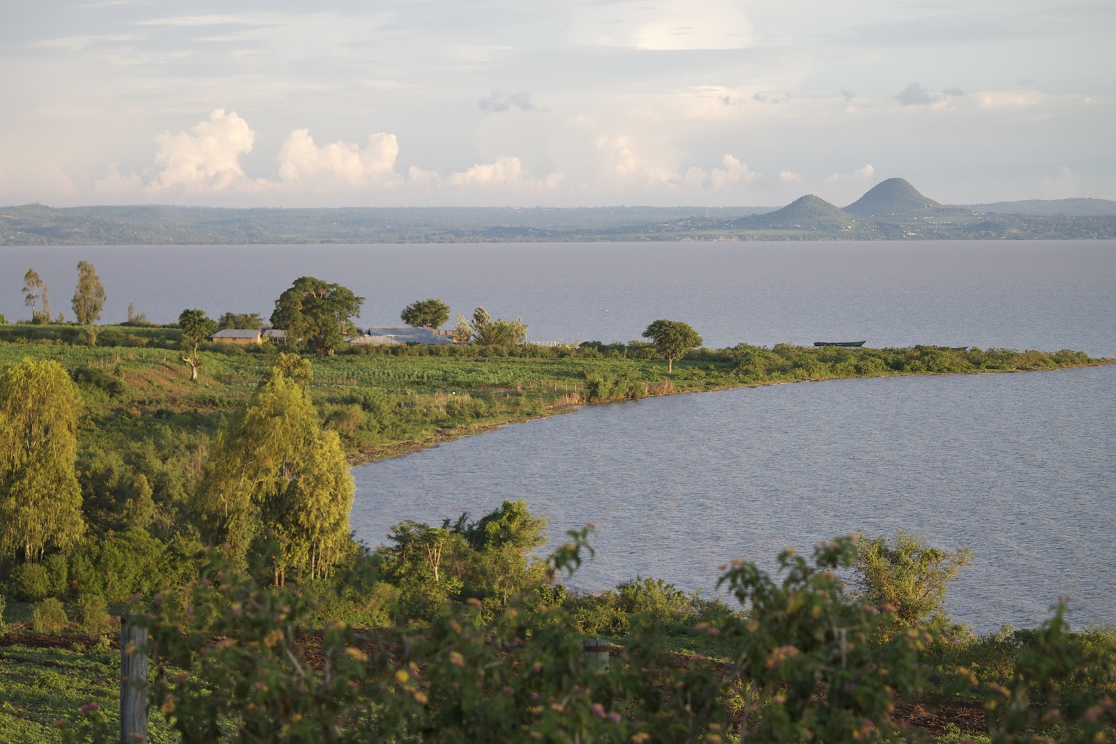 LAGO VICTORIA ÁFRICA :: Hidrobiotopos